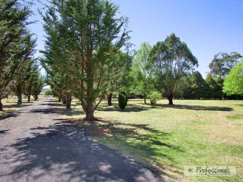 Armidale NSW 2350