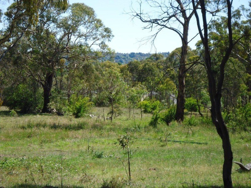 Armidale NSW 2350
