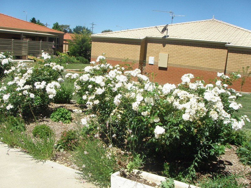 Armidale NSW 2350
