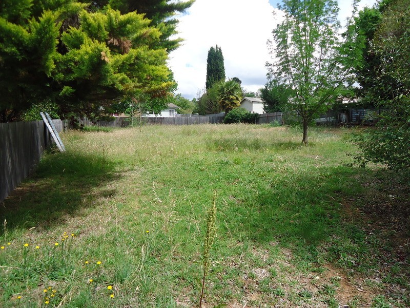Armidale NSW 2350