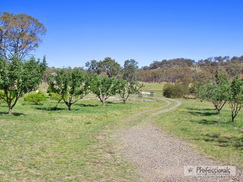Armidale NSW 2350