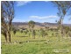 1352 Rockvale Road, Armidale NSW 2350
