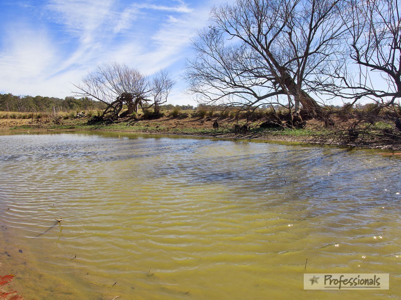 1352 Rockvale Road, Armidale NSW 2350