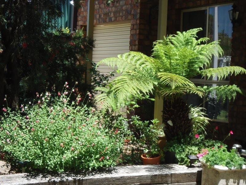 60 Rowan Avenue, Uralla NSW 2358