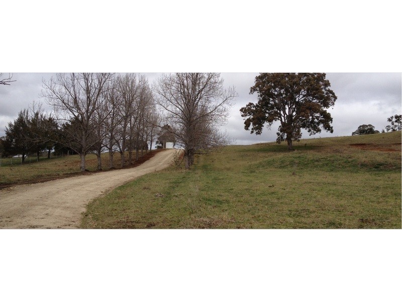 Lot 3, 74  Old Gostwyck Road, Armidale NSW 2350