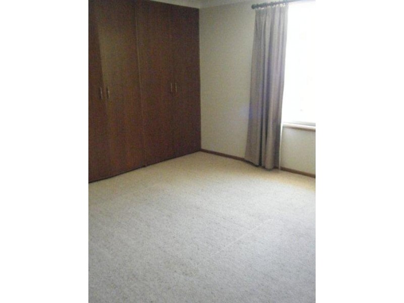 17 Nyssa Street, Armidale NSW 2350