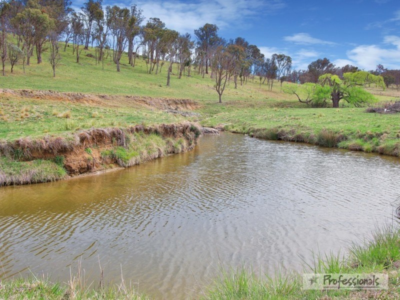 17  Herbert Park Road, Armidale NSW 2350