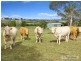 264 Long Swamp Road, Armidale NSW 2350