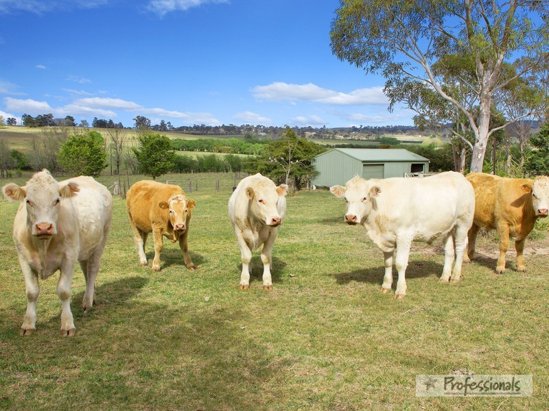 264 Long Swamp Road, Armidale NSW 2350