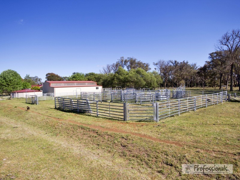 Armidale NSW 2350