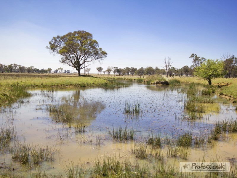Armidale NSW 2350