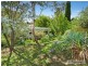 17 Northcott Street, Armidale NSW 2350