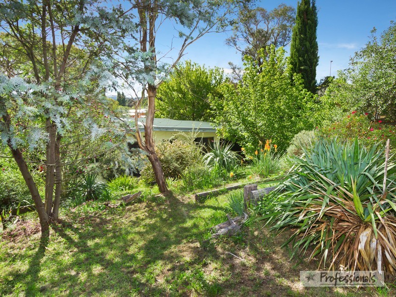 17 Northcott Street, Armidale NSW 2350