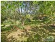 17 Northcott Street, Armidale NSW 2350