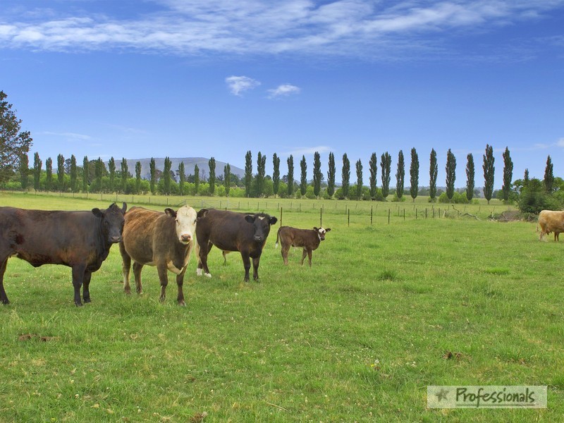 23 O’Connells Road, Armidale NSW 2350