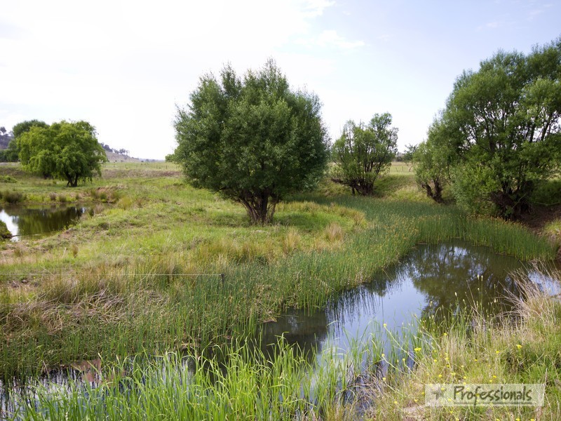 23 O’Connells Road, Armidale NSW 2350