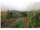16 Mason Crescent, Armidale NSW 2350