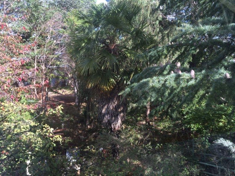 94 Bridge Street, Uralla NSW 2358