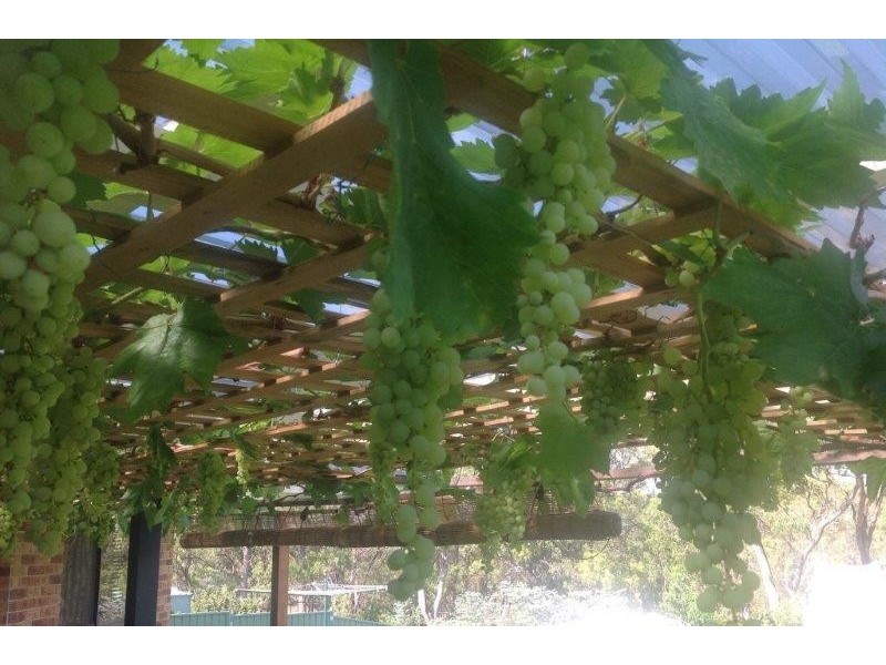 47 Norris Drive, Armidale NSW 2350