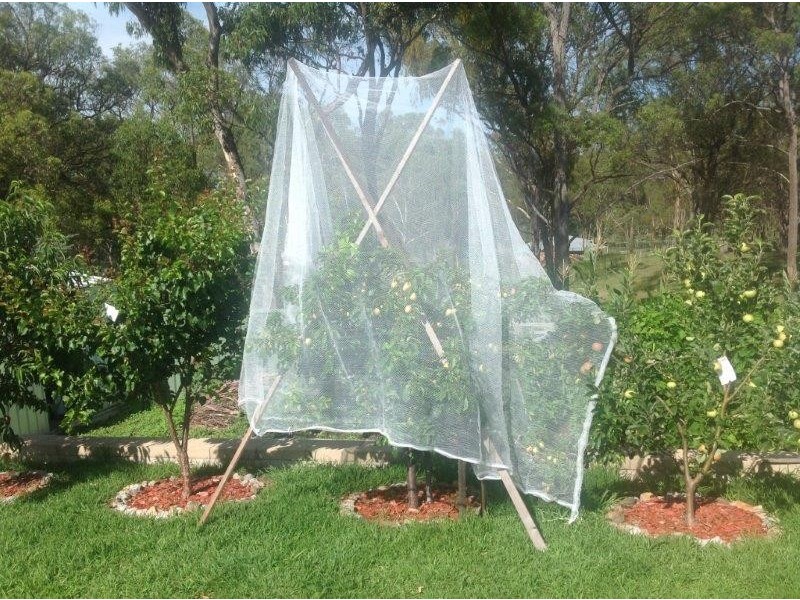 47 Norris Drive, Armidale NSW 2350