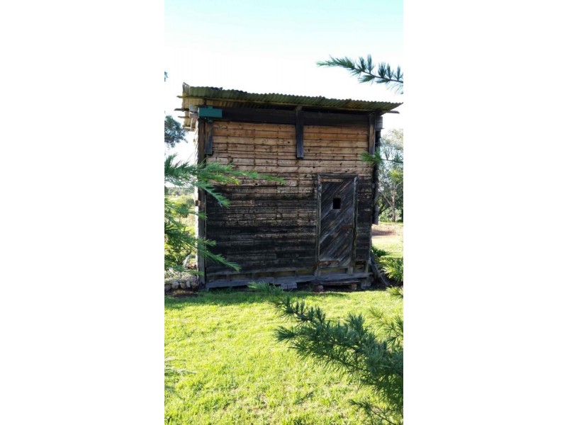 13 Scouler Street, Hillgrove NSW 2350