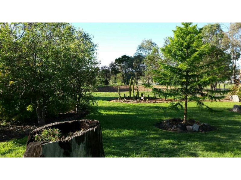 13 Scouler Street, Hillgrove NSW 2350