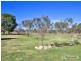 419 Hillview Road, Uralla NSW 2358