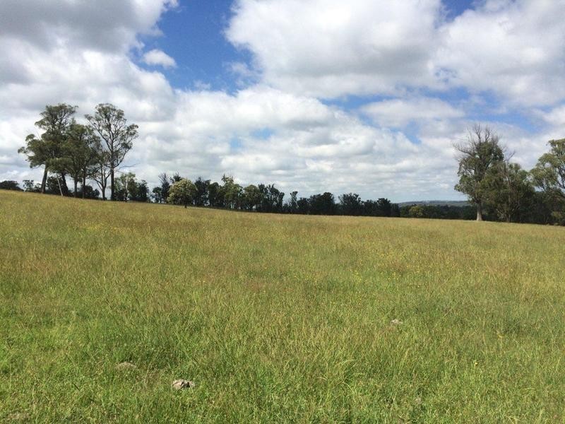 244 Donald Road, Armidale NSW 2350