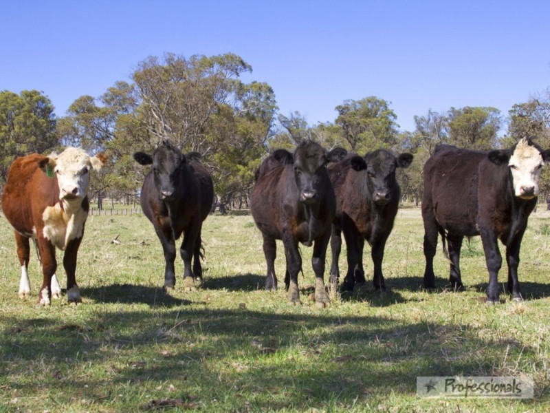 542 Hawthorne Drive, Armidale NSW 2350