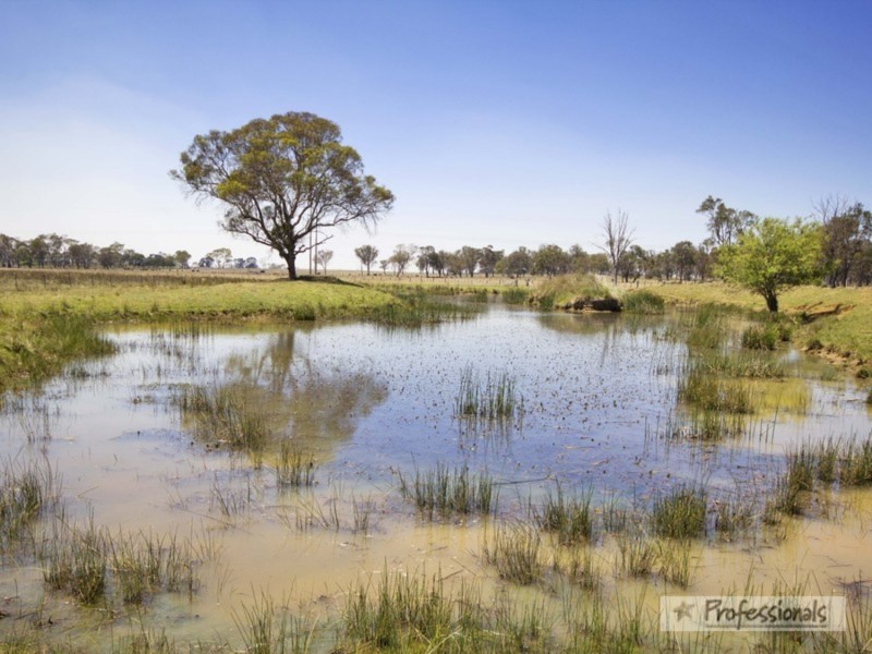 542 Hawthorne Drive, Armidale NSW 2350