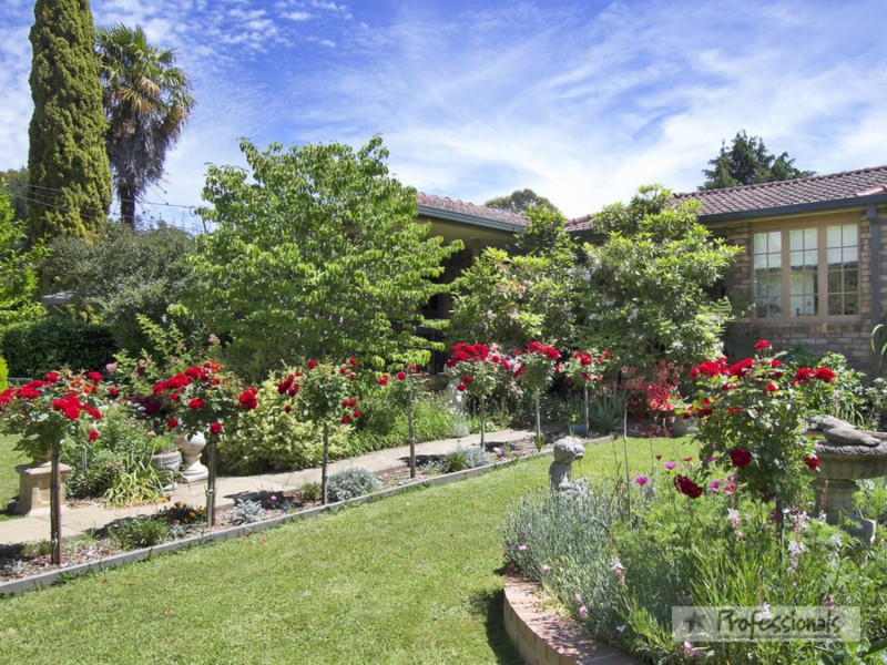 7 Catherine Street, Armidale NSW 2350