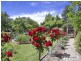 7 Catherine Street, Armidale NSW 2350
