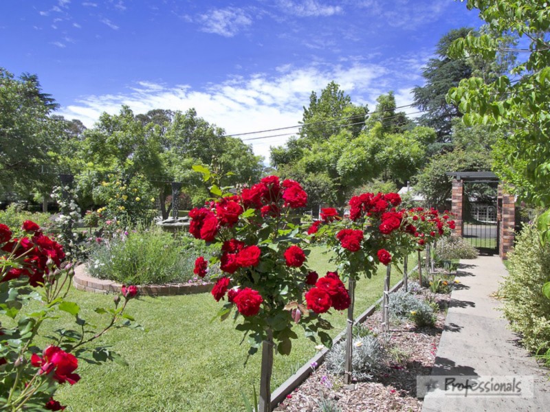 7 Catherine Street, Armidale NSW 2350