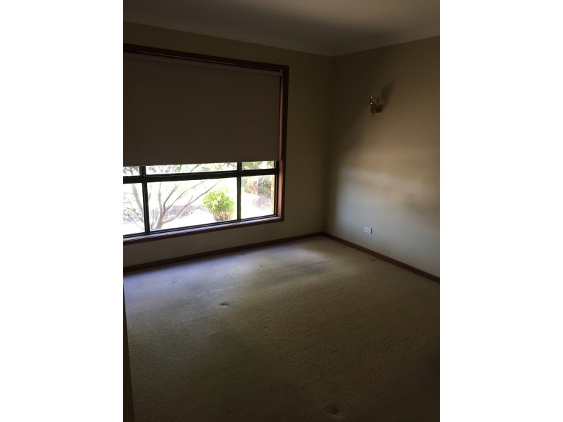 7 Newbury Drive, Armidale NSW 2350