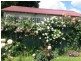 59 Marsh Street, Armidale NSW 2350