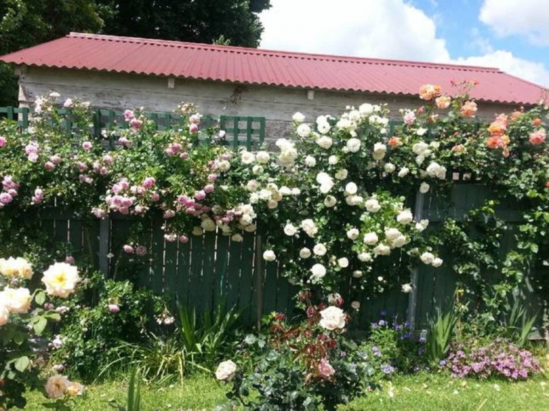 59 Marsh Street, Armidale NSW 2350