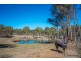 466 Balala Road, Uralla NSW 2358