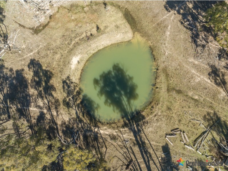 466 Balala Road, Uralla NSW 2358