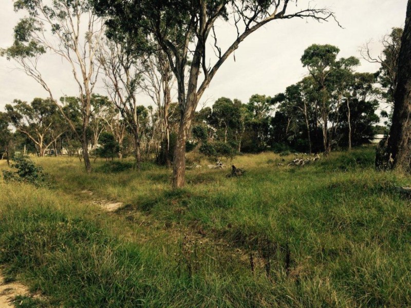 11-17 Hickory Drive, Armidale NSW 2350