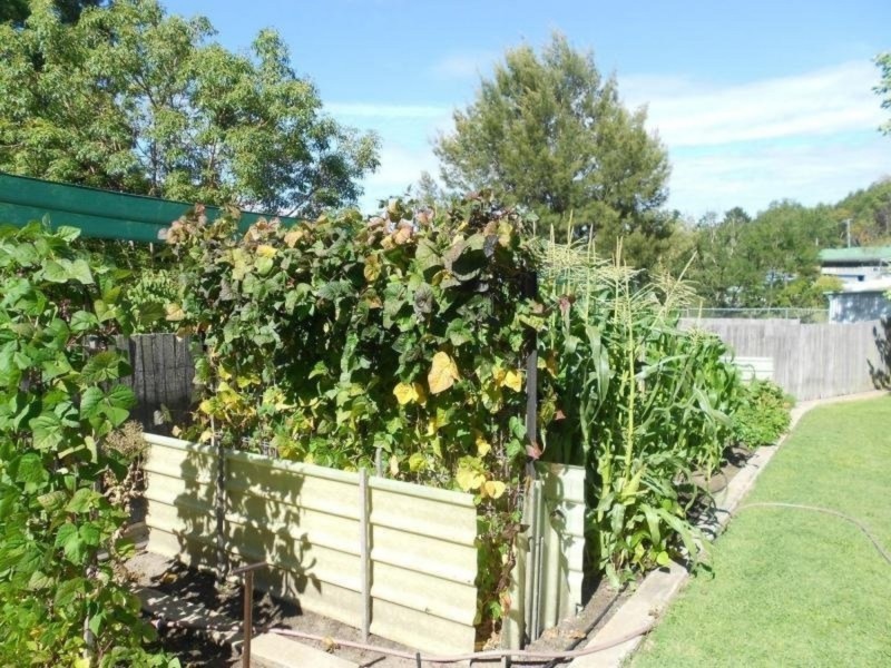 4 Thunderbolts Way, Uralla NSW 2358