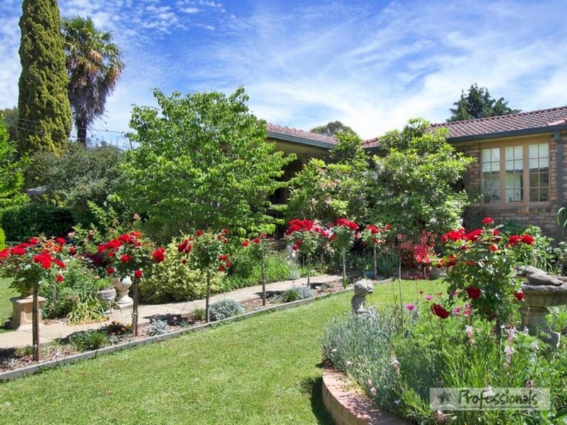 7 Catherine Street, Armidale NSW 2350