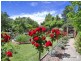 7 Catherine Street, Armidale NSW 2350