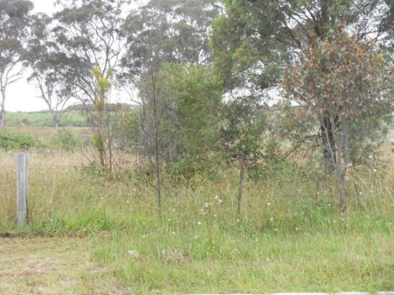 65 Seaton Street, Armidale NSW 2350