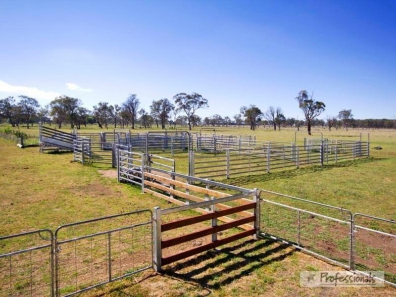 542 Hawthorne Drive, Armidale NSW 2350