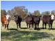 542 Hawthorne Drive, Armidale NSW 2350