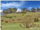 17 Herbert Park Road, Armidale NSW 2350