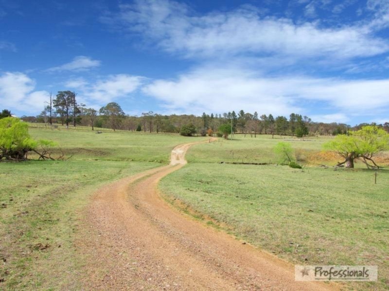 17 Herbert Park Road, Armidale NSW 2350