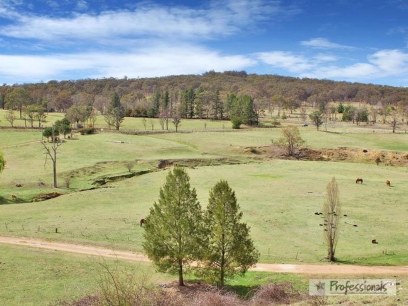 17 Herbert Park Road, Armidale NSW 2350