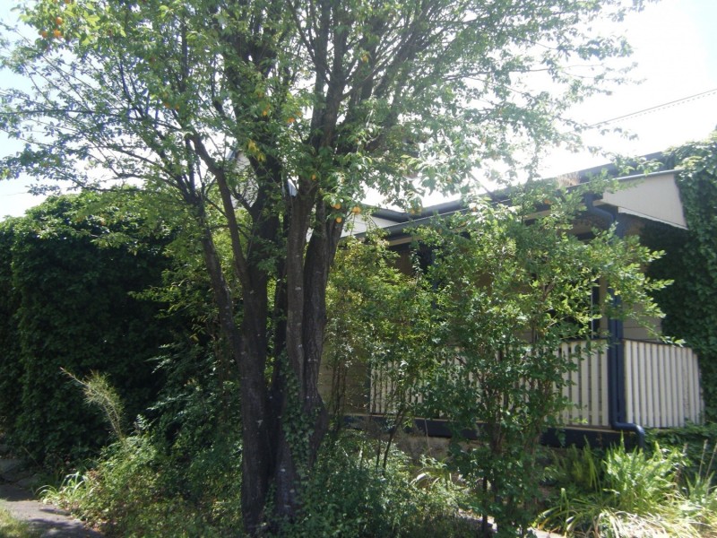 91 Mossman Street, Armidale NSW 2350