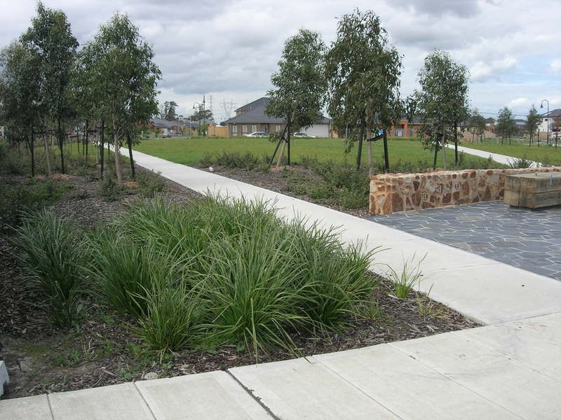 206 Paterson Drive, Lynbrook VIC 3975